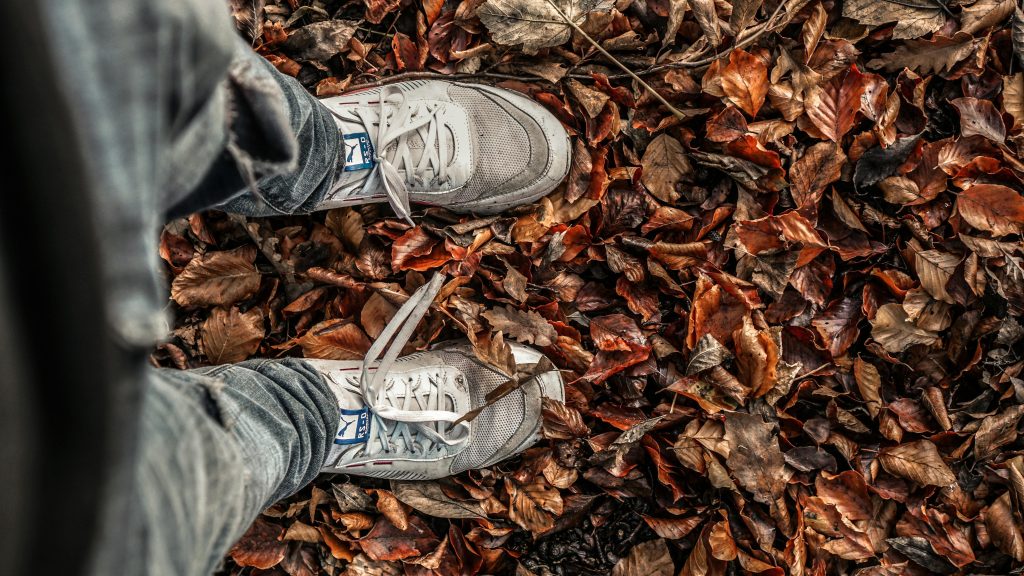 Puma Kid’s Hiking Shoes: The Perfect Fit for Young Explorers