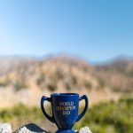 ICC Cricket World Cup Global Tournament